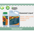 100% Organic Fertilizer Seaweed Extract, Seaweed Liquid Fertilizer
